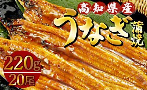 高知県産養殖うなぎ蒲焼 20尾(合計約4400g)- 土用の丑の日 鰻 ウナギ 蒲焼き かば焼き かばやき うな丼 うな重 ギフト お中元 御中元 父の日 お礼 御礼 感謝 プレゼント 送料無料 須崎市道の駅 高知県 香南市 ss-0038