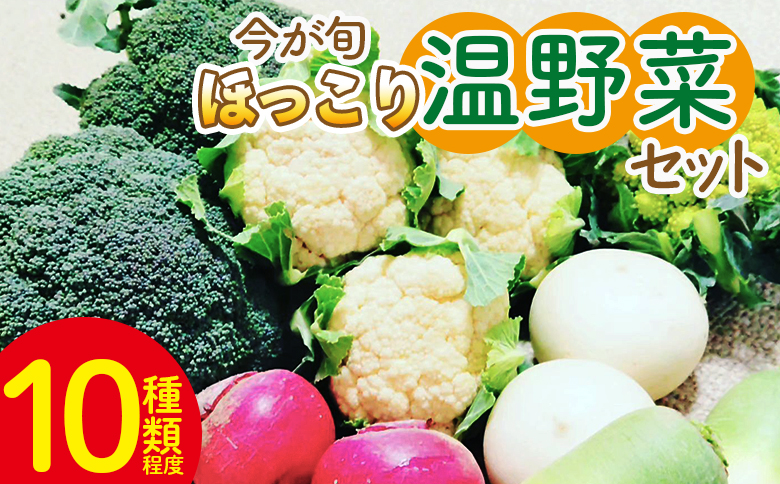 野菜 まさに旬 ほっこり温野菜セット sy-0006