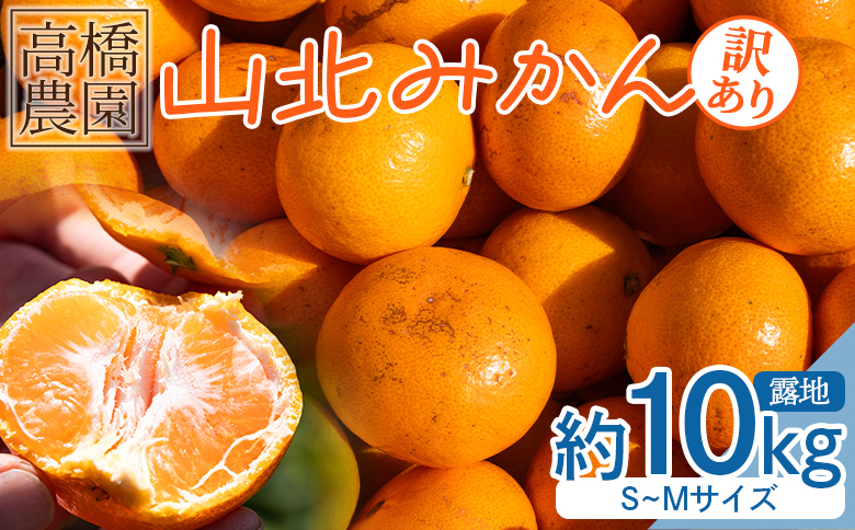 家庭用 山北みかん10kg露地(S〜M)B品 小傷あり 高橋農園 - フルーツ 果物 くだもの 柑橘類 ミカン 蜜柑 小傷あり 家庭用 季節限定 期間限定 th-0011