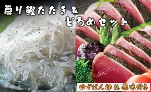 土佐料理司 戻り鰹たたき・どろめセット - 送料無料 魚 さかな カツオ かつお おかず 晩酌 のお供 おさけ お酒に合う おつまみ タタキ いわし イワシ 小魚 稚魚 ポン酢 香南市 tr-0008