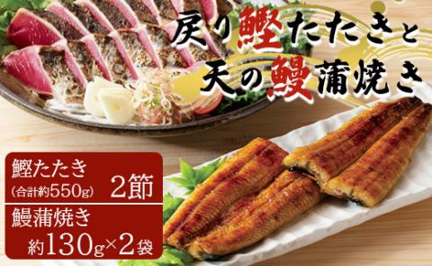 戻り鰹たたき 2節+天の鰻蒲焼き 2袋 (合計約550g+合計260g) - 送料無料 かつお カツオ うなぎ ウナギ 蒲焼き かばやき 魚 さかな 肴 おつまみ のし 熨斗 香南市 tr-0013