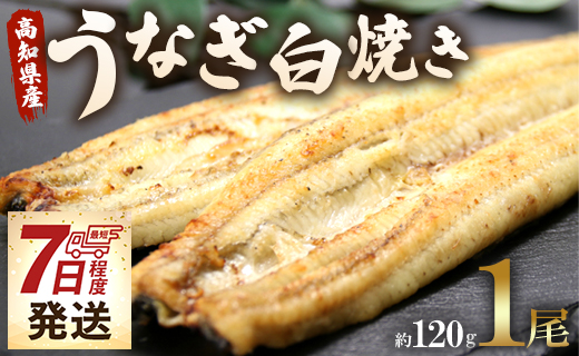 [7日程度で発送]うなぎ白焼き 1尾(約120g)(無頭) - 送料無料 鰻 ウナギ 魚介 山椒塩 惣菜 おかず のし ギフト 贈答 贈り物 プレゼント 丑の日 国産 うなぎ屋きた本 高知県 香南市 冷凍 un-0016