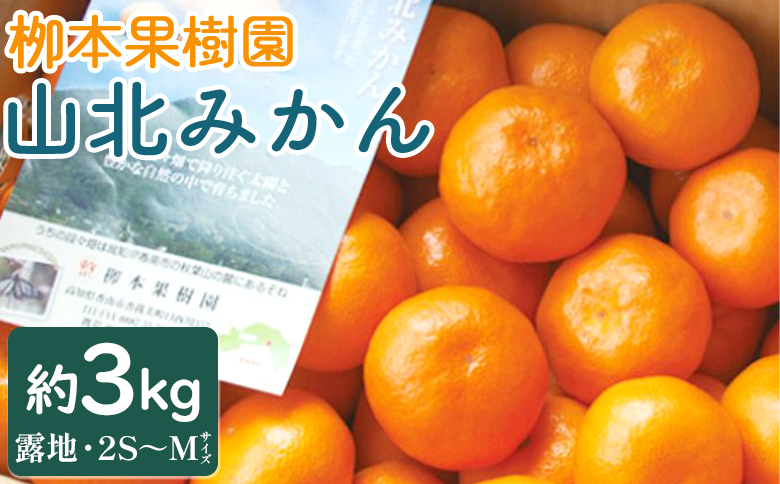 [令和6年発送]柳本果樹園の山北みかん 約3kg(露地・2S〜M) - 果物 フルーツ 柑橘類 温州みかん ミカン 甘い おいしい 送料無料 期間限定 季節限定 数量限定 2024年 yg-0006