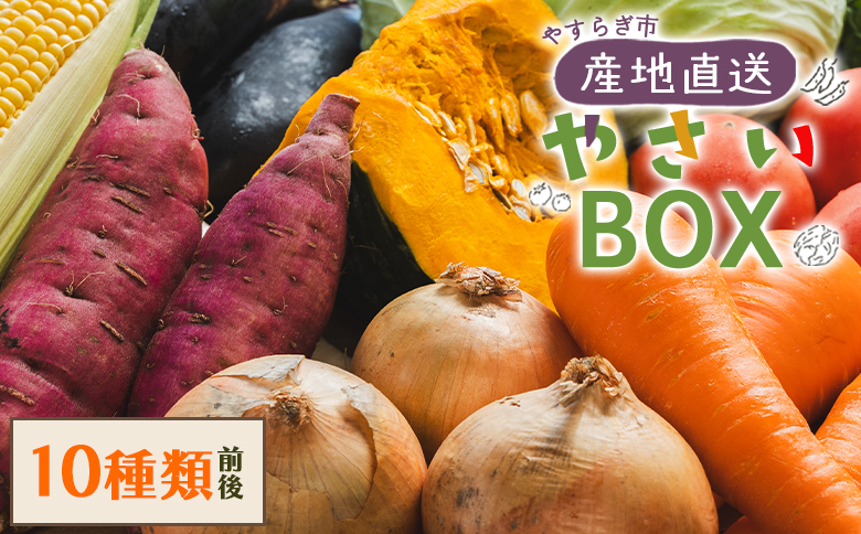 先行予約!産地直送やさいBOX - 野菜 ベジタブル おまかせ 詰め合わせ セット 季節 旬 お任せ 10種類前後 お楽しみ ヘルシー 国産 特産品 送料無料 やすらぎ市 高知県 香南市 冷蔵 yr-0011