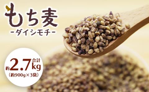 もち麦(ダイシモチ) 合計2.7kg