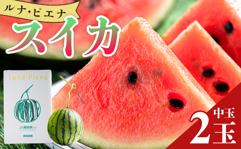 空中立体栽培で太陽の愛情をたっぷり受けた ルナ・ピエナスイカ(中玉) 2玉 yu-0016