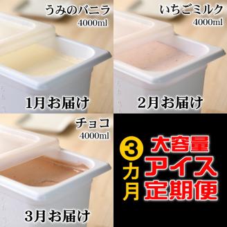 【四国一小さなまちのアイス屋さん】 ≪2024年1月発送開始≫ ★松崎冷菓★ 大容量アイス　３ヵ月定期便 （1月～3月）