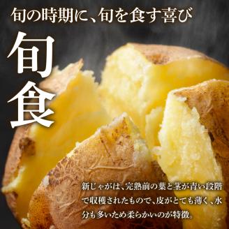 ★先行受付：2024年5月発送開始★大野台地で採れた 令和6年産新じゃがいも『デジマ』5kg 訳あり品