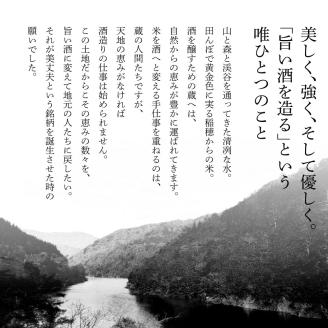【四国一小さなまちの地酒】～2024年1月発送開始～ 美丈夫（びじょうふ）12ヶ月 定期便 ★毎月お届け★