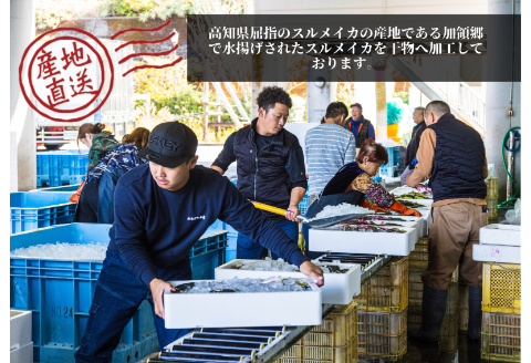 【四国一小さなまち】《カネアリ水産》数量限定★訳あり★スルメイカの一日干し　4枚入り （ 冷凍 ）