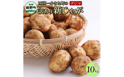 ★先行受付：2026年5月発送開始★大野台地で採れた令和8年産新じゃがいも『デジマ』10kg訳あり品 10キロ イモ ジャガイモ 芋 いも ポテト 野菜 おいしい 旬 国産 お取り寄せ 送料無料