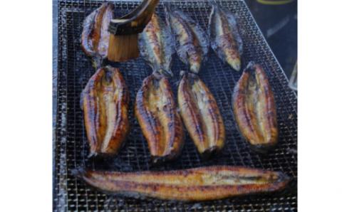 【四国一小さなまち】≪ヤマシン≫ ※ 冷凍 ※ 特選うなぎの蒲焼き　２尾