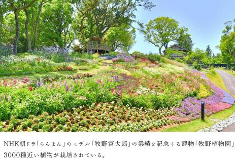 【四国一小さなまち】 ★ 香りの教室 帆南 ★ アロマスプレー ～ 百花らんまん ～