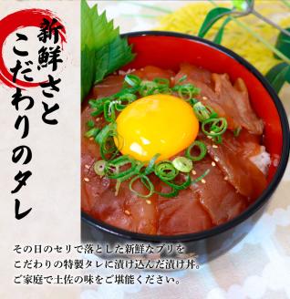 これが魚屋の漬け丼だ！～ブリ～ 《訳あり》 ８０ｇ×５P ブリ ぶり 鰤 漬け丼 漬け どんぶり 丼 5パック 海鮮 魚 真空パック 個食 個包装 冷凍 配送 訳あり 規格外 不揃い