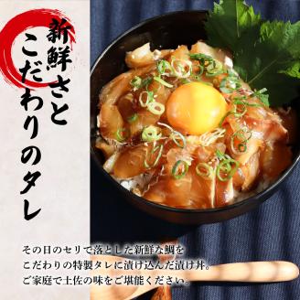 これが魚屋の漬け丼だ！～鯛～ 《訳あり》 ８０ｇ×１０P タイ 鯛 たい 漬け丼 漬け どんぶり 丼 10パック 海鮮 魚 真空パック 個食 個包装 冷凍 配送 訳あり ワケあり 規格外 不揃い