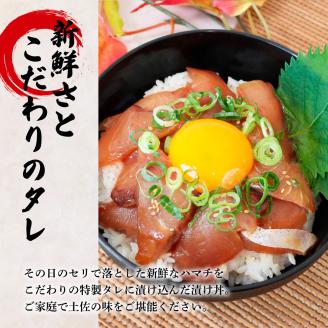 これが魚屋の漬け丼だ！～ハマチ～ 《訳あり》 ８０ｇ×１０P ハマチ はまち 漬け丼 漬け どんぶり 丼 10パック 海鮮 魚 真空パック 個食 個包装 冷凍 配送 訳あり 規格外 不揃い