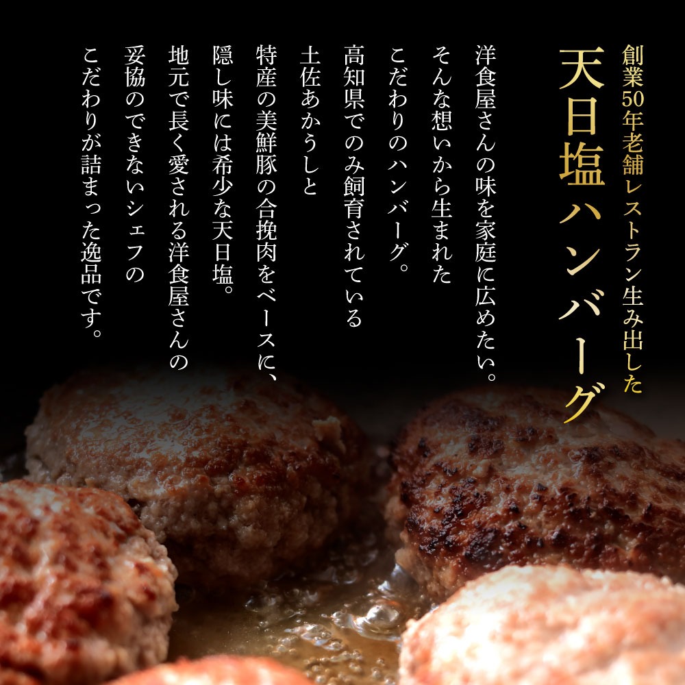 食べ比べ！完全天日塩仕込みハンバーグ3種各4個セット 田野屋青蜂 白鯆 完全天日塩 特製デミグラス 黄金しょうがソース付き 肉 お肉 おかず 惣菜 ジューシー おいしい 洋食 お取り寄せ 冷凍 配送 高知県 田野町