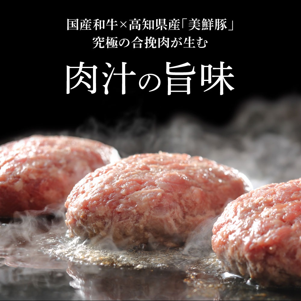 塩仕込みハンバーグ 8個入り 黄金しょうがソース付 4袋 美鮮豚 びせんとん 生姜 田野屋青蜂 白鯆 完全天日塩 肉 お肉 国産牛 四万十ポーク おかず 惣菜 ジューシー おいしい 洋食 お取り寄せ 冷凍 配送 高知県 田野町