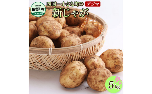 ★先行受付：2026年5月発送開始★大野台地で採れた令和8年産新じゃがいも『デジマ』5kg 5キロ イモ ジャガイモ 芋 いも ポテト 野菜 おいしい ふっくら 旬 国産 お取り寄せ 送料無料