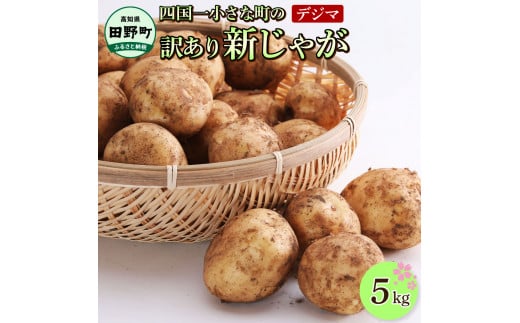 ★先行受付：2026年5月発送開始★大野台地で採れた令和8年産新じゃがいも『デジマ』5kg訳あり品 5キロ イモ ジャガイモ 芋 いも ポテト 野菜 おいしい 旬 国産 お取り寄せ 送料無料