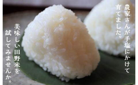 ★ 令和5年産 新米 ★【四国一小さなまち】 田野米  10kg （ 5kg × 2袋 ） ～ 精米 ・ 白米 ～