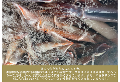 【四国一小さなまち】《カネアリ水産》数量限定★訳あり★スルメイカの一日干し　4枚入り （ 冷凍 ）