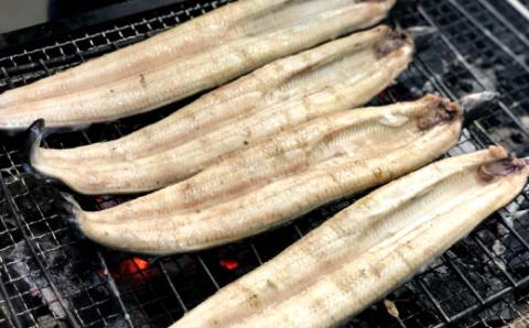 ヤマシン特選うなぎ白焼き・ひつまぶし