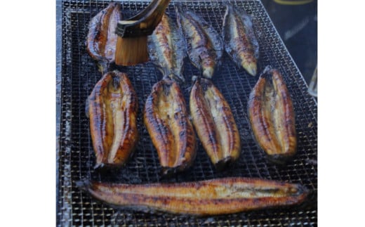 【四国一小さなまち】≪ヤマシン≫ ※ 冷凍 ※ 特選うなぎの蒲焼き　３尾