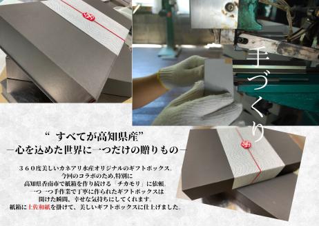 【四国一小さなまち】 ★カネアリ水産★ 幻の塩たたき ～ わら焼きカツオのたたき２節 × 田野屋塩二郎の塩２袋 ～