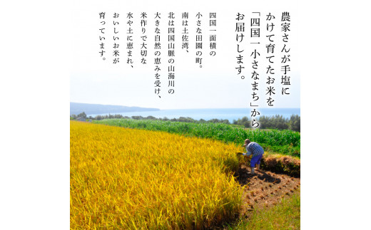 ★令和7年産 精米★【四国一小さなまち】 田野米 5kg（5kg×1袋）