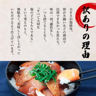 これが魚屋の漬け丼だ！～ハマチ～ 《訳あり》 ８０ｇ×１０P ハマチ はまち 漬け丼 漬け どんぶり 丼 10パック 海鮮 魚 真空パック 個食 個包装 冷凍 配送 訳あり 規格外 不揃い