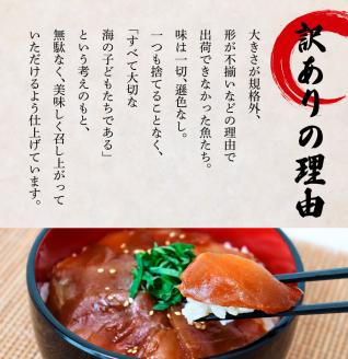 これが魚屋の漬け丼だ！～ブリ～ 《訳あり》 ８０ｇ×１０P ブリ ぶり 鰤 漬け丼 漬け どんぶり 丼 10パック 海鮮 魚 真空パック 個食 個包装 冷凍 配送 訳あり 規格外 不揃い