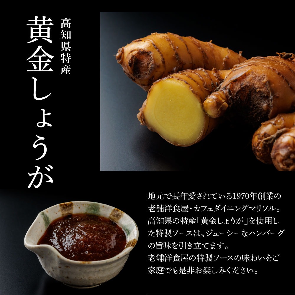 塩仕込みハンバーグ 2個入り 黄金しょうがソース付 1袋 美鮮豚 びせんとん 生姜 田野屋青蜂 白鯆 完全天日塩 肉 お肉 国産牛 四万十ポーク おかず 惣菜 ジューシー おいしい 洋食 お取り寄せ 冷凍 配送 高知県 田野町