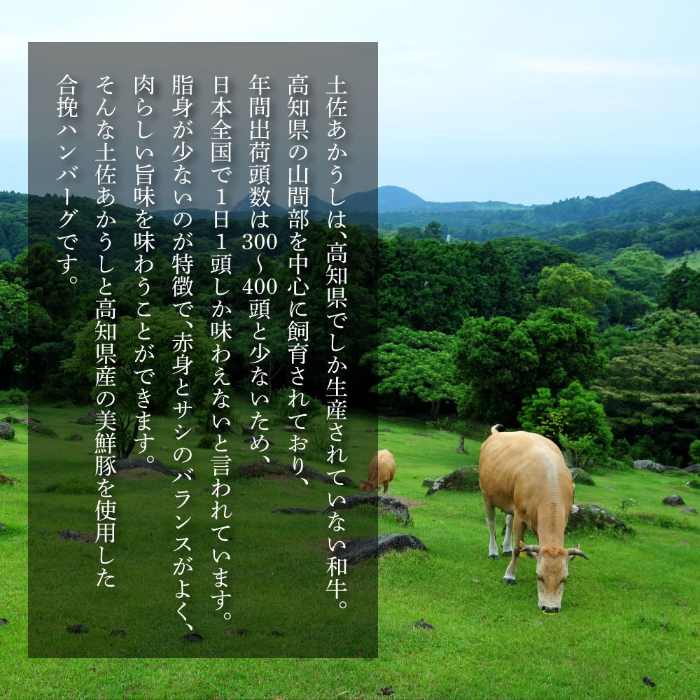 幻のあかうし和牛ハンバーグ 20個入り 6ヶ月定期便 1個130g 田野屋青蜂 白鯆 完全天日塩練り込み 肉 お肉 国産牛 土佐あかうし 四万十ポーク おかず 惣菜 おいしい お取り寄せ 冷凍 配送 高知県 田野町