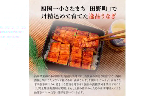 田野町産うなぎの蒲焼き(大) 2尾×3回 定期便 3ヶ月 定期コース 1尾あたり120～150g タレ付き 山椒付き うなぎ 鰻 ウナギ 蒲焼き かば焼き 無頭 おいしい 国産 お取り寄せ 冷凍 配送