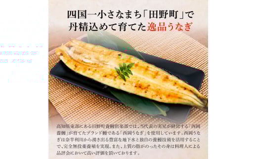 田野町産うなぎの白焼き(大) 5尾×6回 定期便 6ヶ月 定期コース 1尾あたり120～150g タレ付き 山椒付き うなぎ 鰻 ウナギ 白焼 無頭 おいしい 国産 個包装 お取り寄せ 冷凍 配送