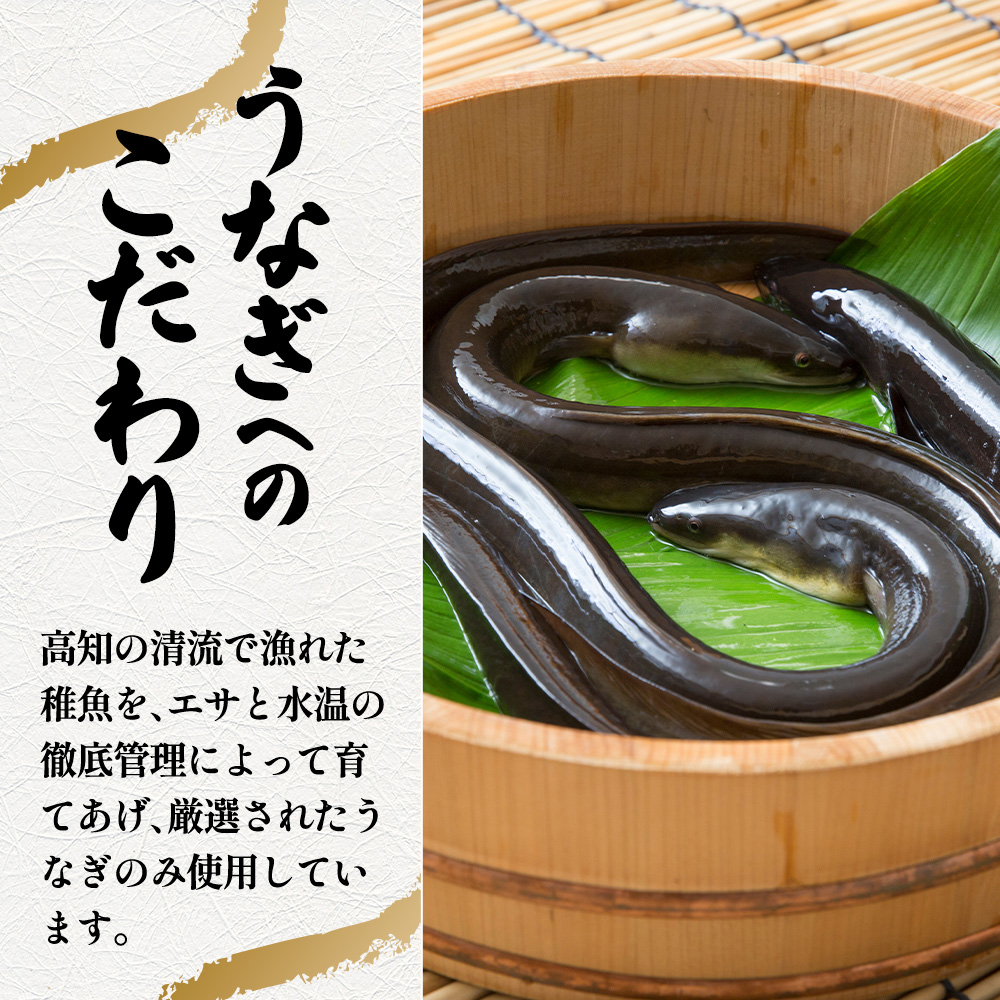 ～四国一小さなまち～ きざみうなぎ蒲焼 80g×18P 約1440g カット済み 蒲焼き かば焼き 鰻 ウナギ ふっくら おいしい おかず お茶漬け 惣菜 養殖 国産 簡単 手軽 調理済み