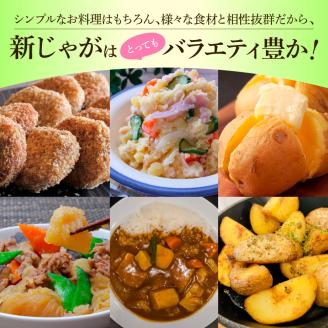 ★先行受付：2024年5月発送開始★大野台地で採れた 令和6年産新じゃがいも『デジマ』5kg 訳あり品