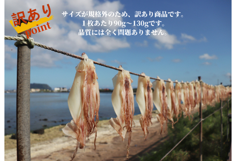 【四国一小さなまち】《カネアリ水産》数量限定★訳あり★スルメイカの一日干し　4枚入り （ 冷凍 ）