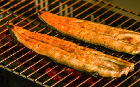 田野町産うなぎのひつまぶし（10パック）