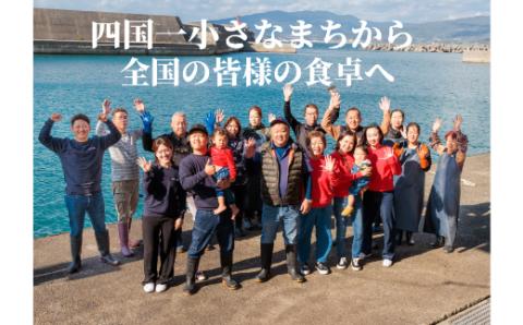 【四国一小さなまち】 ≪カネアリ水産≫ たっぷり！しらすピザ（和風×2・トマト×2）　計４枚