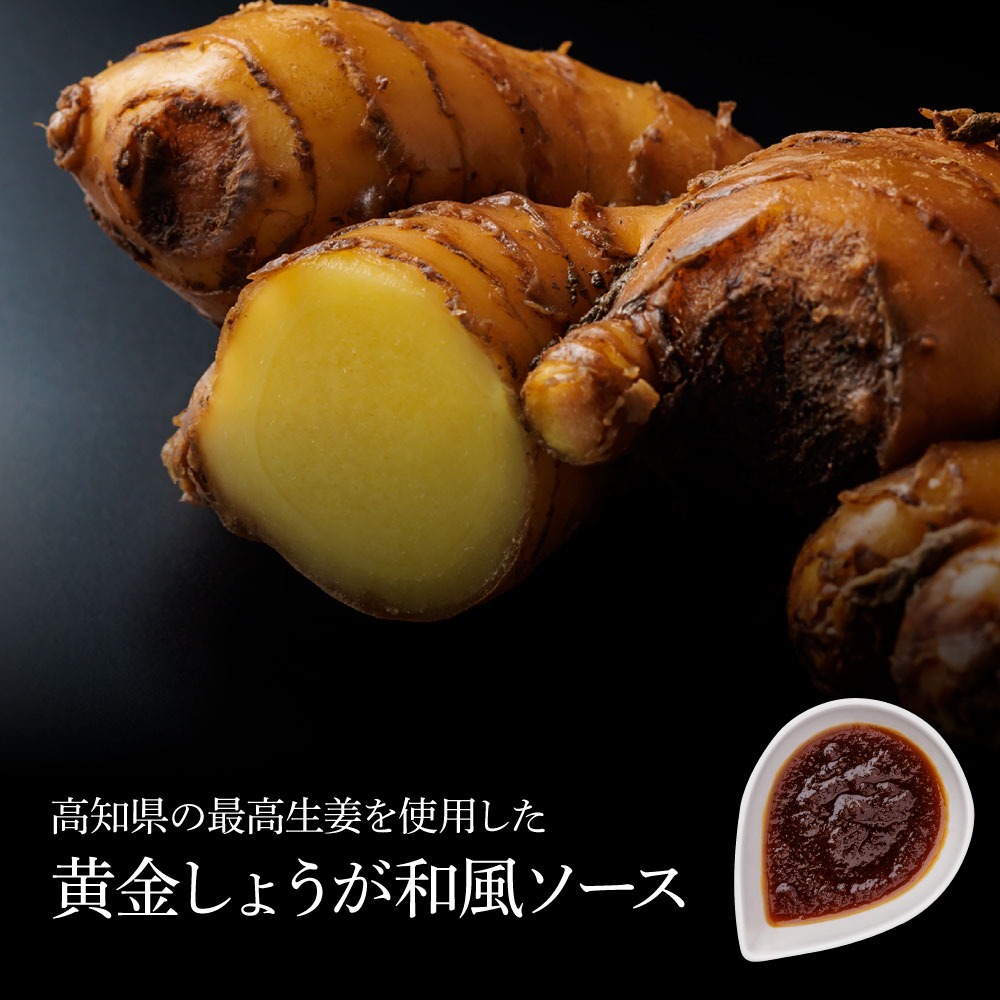 食べ比べ！完全天日塩仕込みハンバーグ3種各2個セット 田野屋青蜂 白鯆 完全天日塩 特製デミグラス 黄金しょうがソース付き 肉 お肉 おかず 惣菜 ジューシー おいしい 洋食 お取り寄せ 冷凍 配送 高知県 田野町