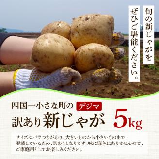 ★先行受付：2024年5月発送開始★大野台地で採れた 令和6年産新じゃがいも『デジマ』5kg 訳あり品