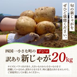 ★先行受付：2024年5月発送開始★大野台地で採れた 令和6年産新じゃがいも『デジマ』20kg 訳あり品