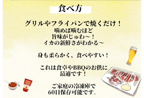 【四国一小さなまち】《カネアリ水産》数量限定★訳あり★スルメイカの一日干し　4枚入り （ 冷凍 ）