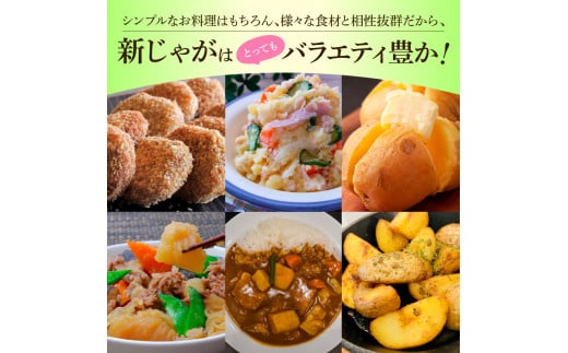 ★先行受付：2026年5月発送開始★大野台地で採れた令和8年産新じゃがいも『デジマ』10kg 10キロ イモ ジャガイモ 芋 いも ポテト 野菜 おいしい ふっくら 旬 国産 お取り寄せ 送料無料