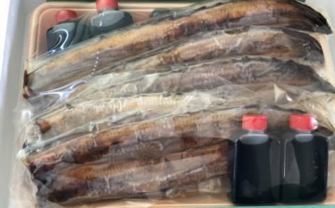 田野町産うなぎの蒲焼き5本