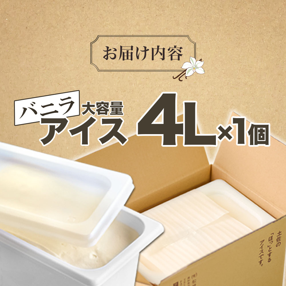 【四国一小さなまちのアイス屋さん】バニラ アイスクリーム 大容量 アイス 4000ml 4L 業務用 4リットル デザート スイーツ お菓子 アイス ミルク 大容量 いっぱい 松崎冷菓 取り寄せ お取り寄せ