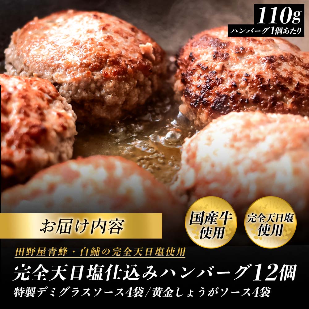 食べ比べ！完全天日塩仕込みハンバーグ3種各4個セット 田野屋青蜂 白鯆 完全天日塩 特製デミグラス 黄金しょうがソース付き 肉 お肉 おかず 惣菜 ジューシー おいしい 洋食 お取り寄せ 冷凍 配送 高知県 田野町