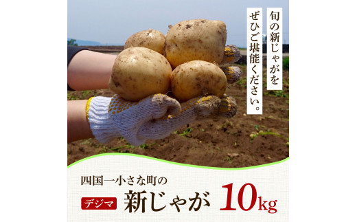 ★先行受付：2026年5月発送開始★大野台地で採れた令和8年産新じゃがいも『デジマ』10kg 10キロ イモ ジャガイモ 芋 いも ポテト 野菜 おいしい ふっくら 旬 国産 お取り寄せ 送料無料